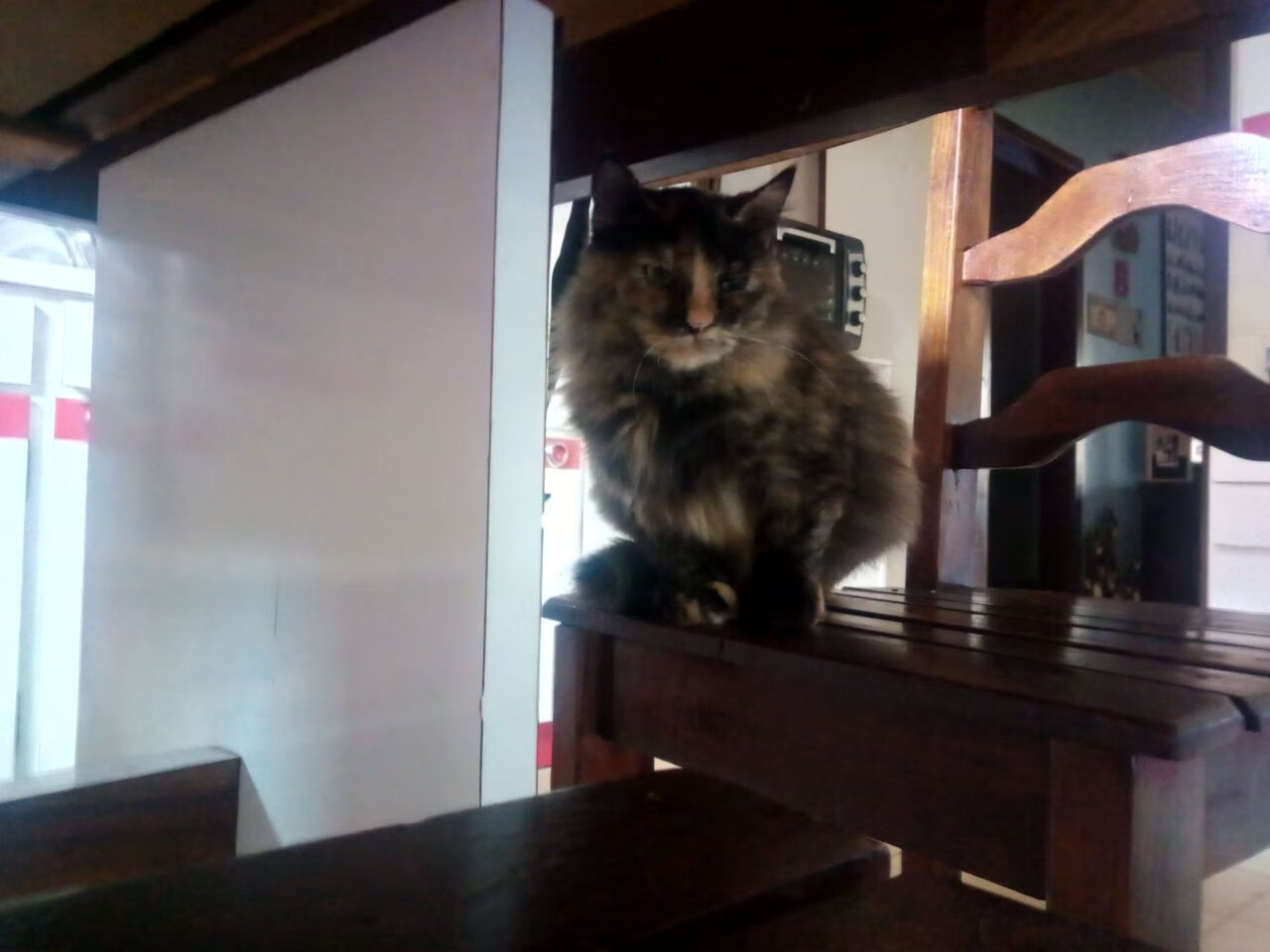 布伦森41分与上海爆冷,统治级数据的时空另类叙事