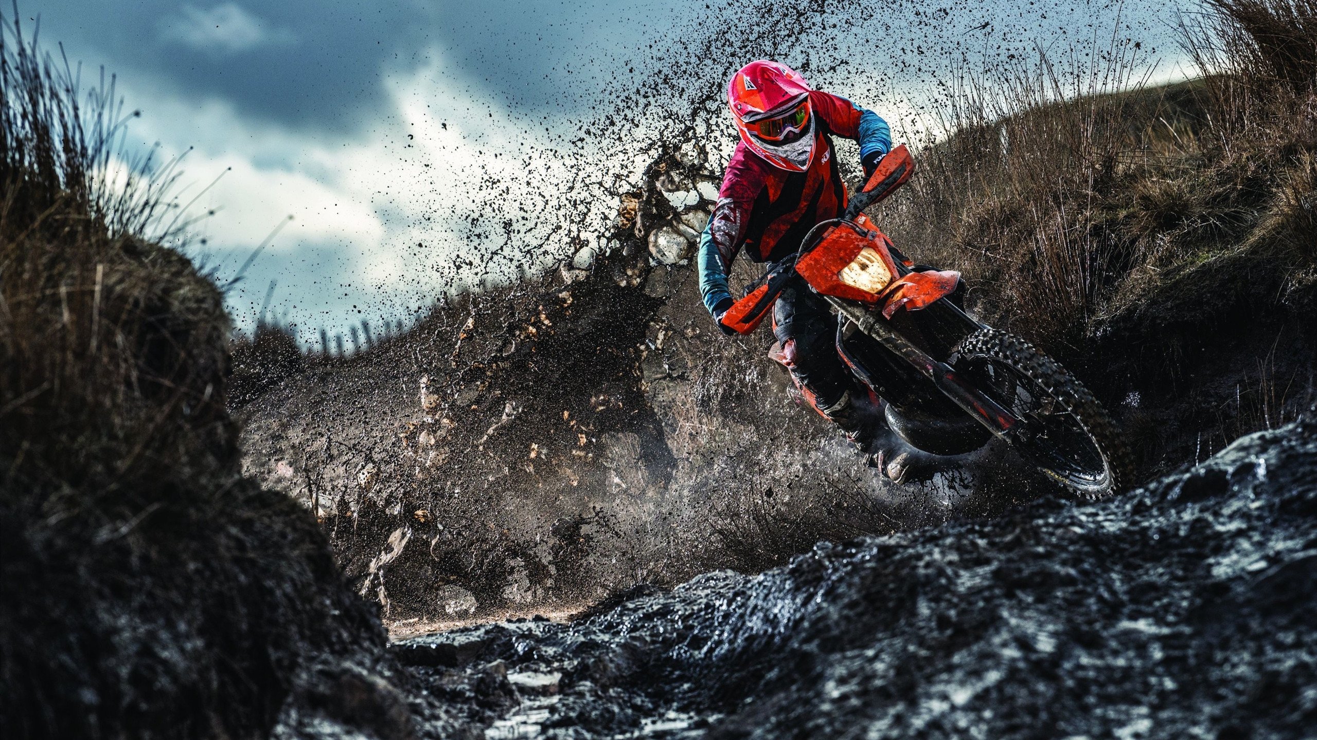 双星闪耀，布克独舞创赛季新高，绿衫军团队风暴击溃开拓者