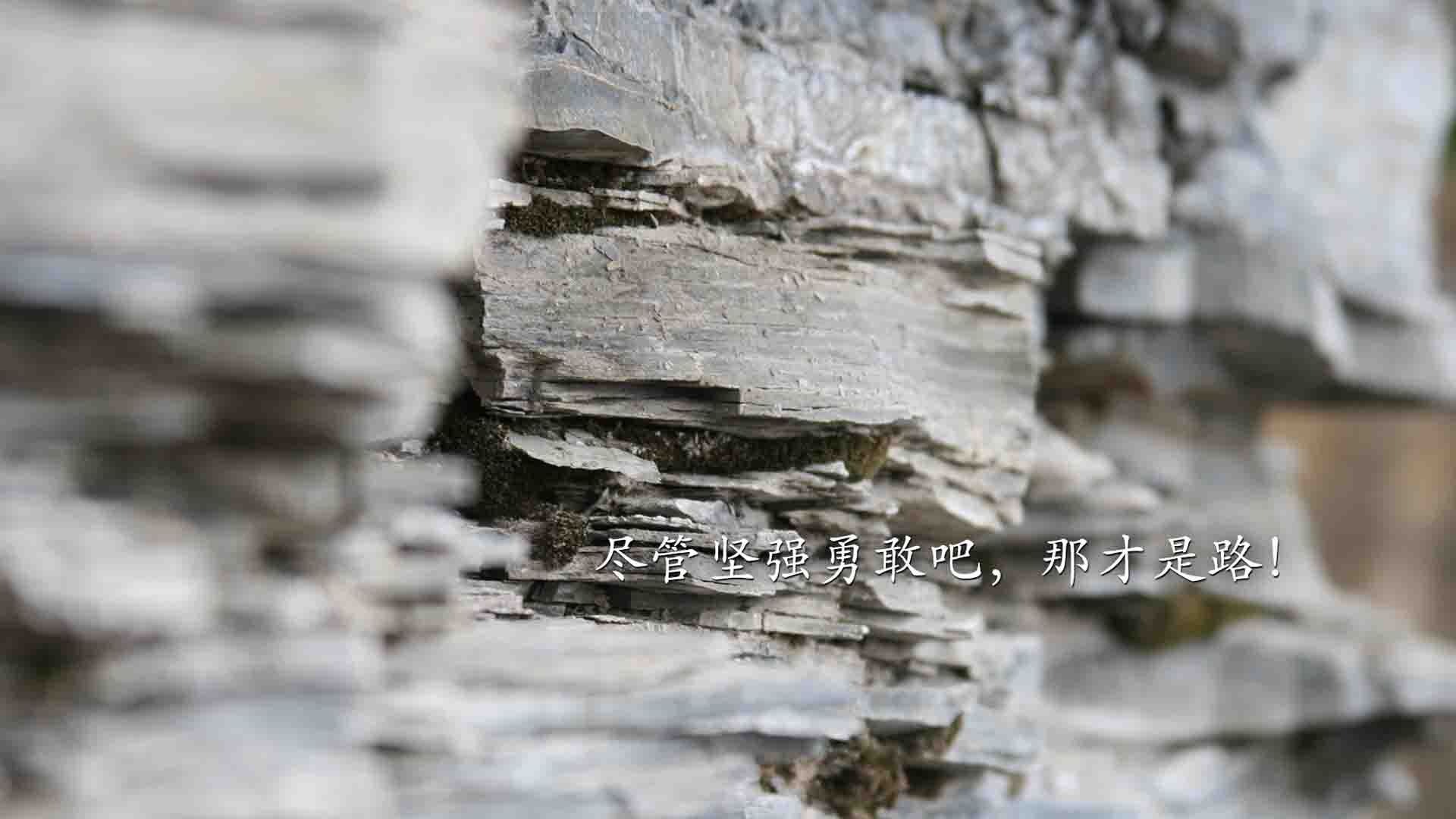 唯一性，当鹈鹕击溃广东，英格拉姆接管世界杯—两个平行宇宙的篮球交响