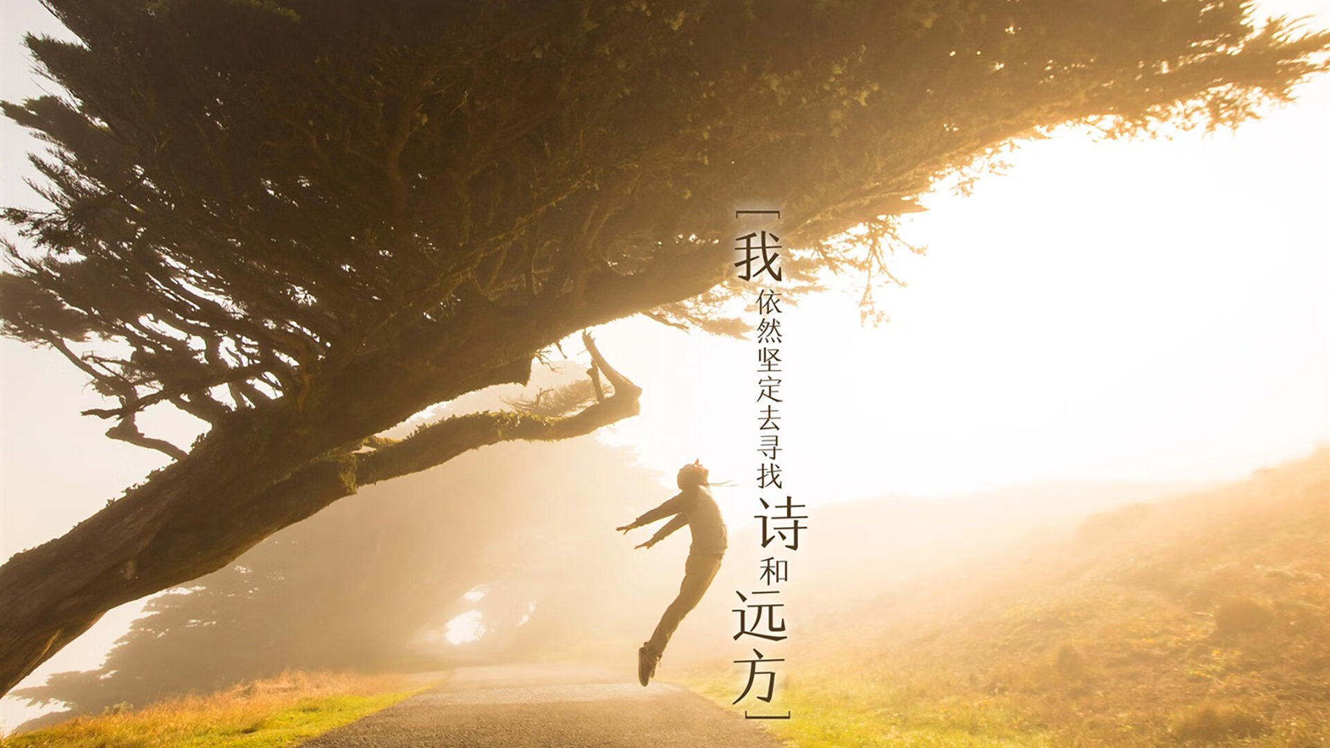 绿茵场与硬木地板的交响，当西甲国家德比之夜遇见小贾伦时间