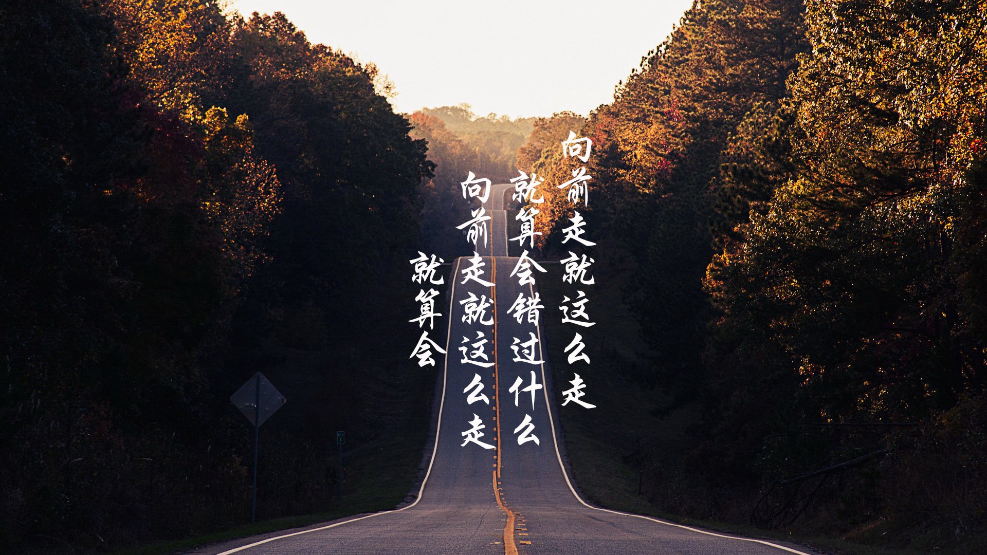 当孙兴慜握住方向盘,从里昂到F1,竞技世界的接管哲学