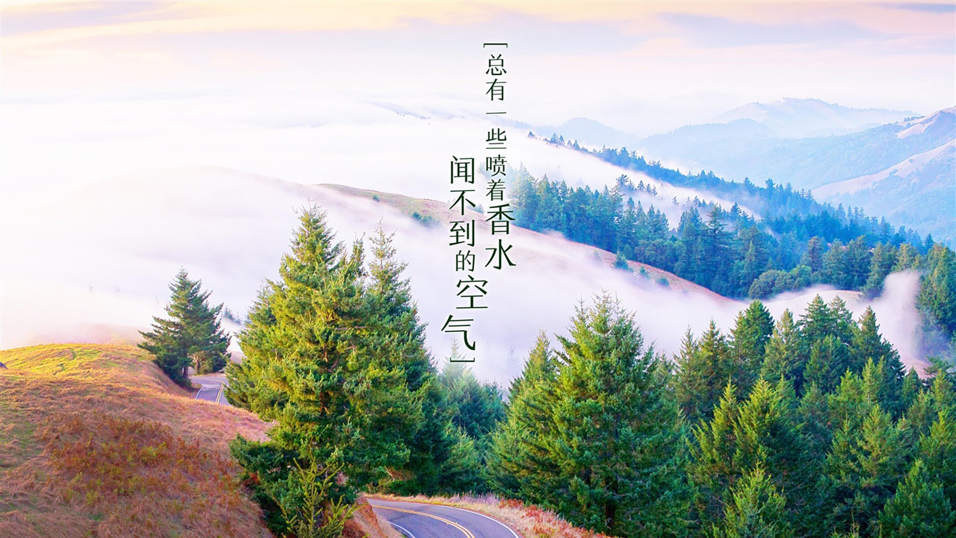 孤注一掷的火焰，迪亚斯与那场改写足球历史的唯一争冠战